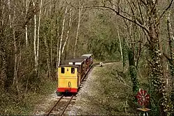 Train jaune et rouge dans une forêt.