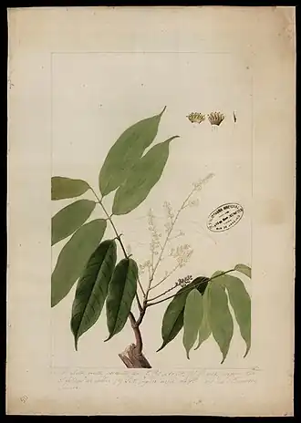 Description de cette image, également commentée ci-après