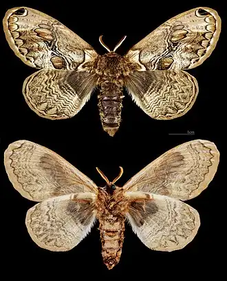 Description de cette image, également commentée ci-après