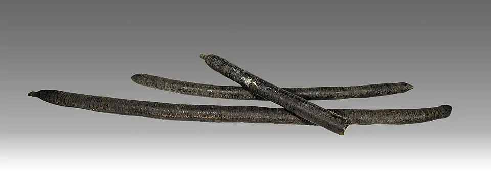 Fruits – Coll. B. Balansa au Muséum de Toulouse.