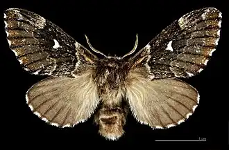 Description de cette image, également commentée ci-après