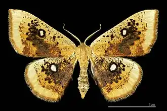 Description de cette image, également commentée ci-après