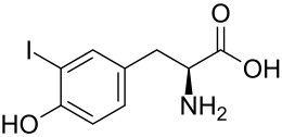 Monoiodotyrosine (MIT).