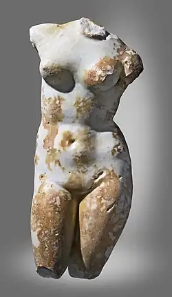 Vénus anadyomène (musée Saint-Raymond, Ier&nbsp;siècle).