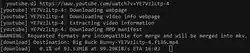 Description de l'image -youtube-dl https www.youtube.com watch v=YE7VzlLtp-4.png.