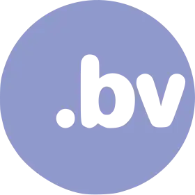 Image illustrative de l’article .bv