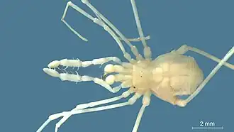 Description de l'image 000-web-37.jpg.