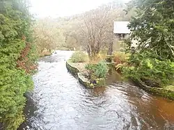 Le Scorff au niveau du moulin de Coët Cren en Plouay (la rive droite, à gauche sur la photographie, se trouve en Berné).