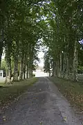 Allée du château.