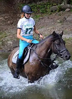 Un poney brun portant une jeune femme