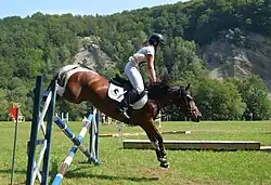 Un cheval tricolore saut un obstacle avec une jeune fille sur son dos.