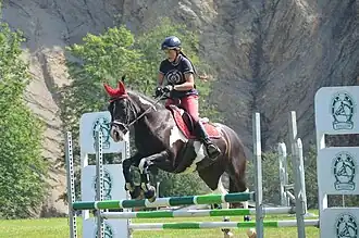 Un poney tacheté brun et blanc monté par une femme sautant au-dessus d'un obstacle