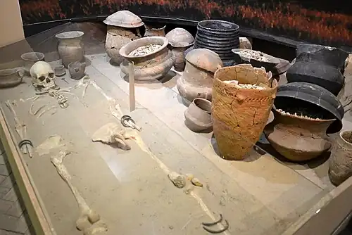 Sépulture de la culture de Trzciniec