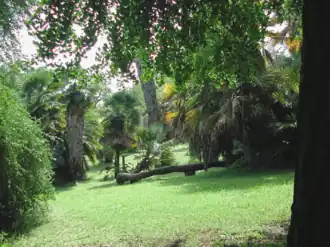 Description de cette image, également commentée ci-après