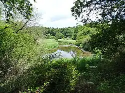 La vallée du fleuve côtier Bélon en amont du pont du Guily (limite entre Riec-sur-Bélon et Moëlan-sur-Mer).