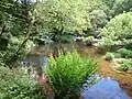 L'Ellé entre le moulin de Kergueff et le Bois de Rosgrand : une vallée encaissée et sauvage.