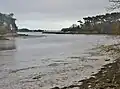 La Rivière de Pont-l'Abbé maritime, partie aval ; à l'arrière-plan on devine l'Île-Tudy.