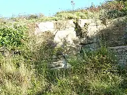 Le gisement de calcaire de Rozan (estuaire de l'Aber de Crozon)