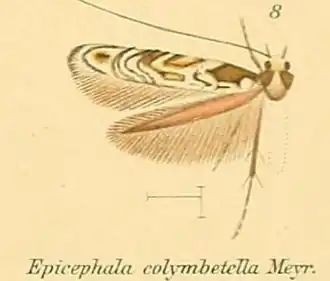 Description de cette image, également commentée ci-après