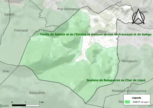 Carte des ZNIEFF de type 1 sur la commune.