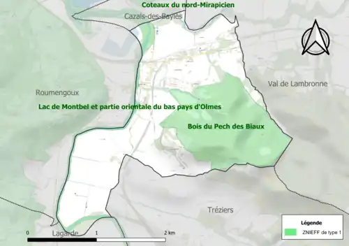 Carte des ZNIEFF de type 1 sur la commune.