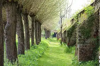Mur d'enceinte de l'abbaye.