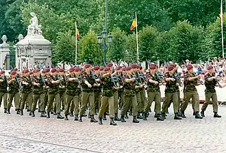 Défilé militaire place des palais.