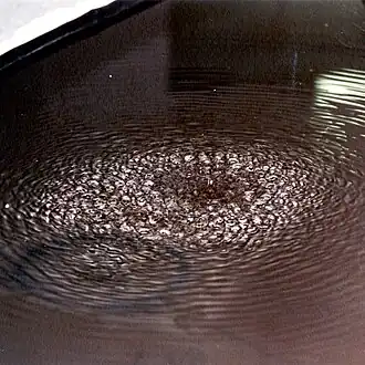 Image illustrative de l’article Tacon Forum