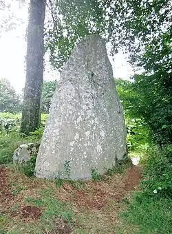 Menhir situé à environ 500&nbsp;mètres à l'est de la chapelle de Kérinec.