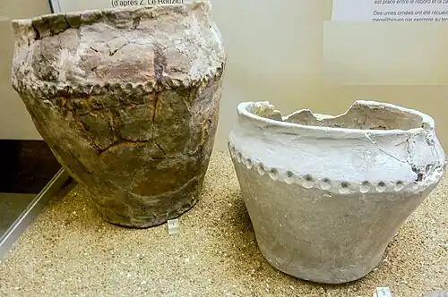 Deux vases exposés au musée de préhistoire de Carnac