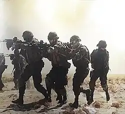 Image illustrative de l’article 116e régiment de manœuvres opérationnelles