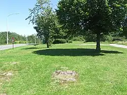 La pelouse calcaire.