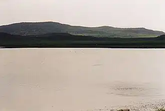 Image illustrative de l’article Chichat