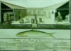 Pesche et presse de la sardine (dessin aquarellé sur papier, 1756).