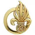 Insigne de béret de la 13e&nbsp;DBLE