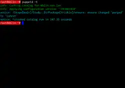 Description de l'image 140228puppetrunExampleManuallyInvokedPackageUpdate.png.