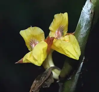 Description de cette image, également commentée ci-après