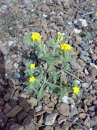 Description de cette image, également commentée ci-après