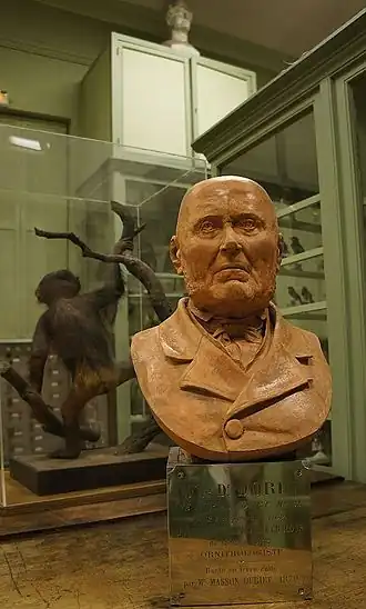 Jean Louis Xavier Dorin