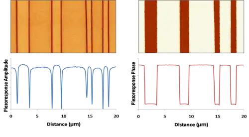 Domaines ferroélectriques à 180° dans un cristal de KTP imagés par PFM