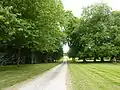 Château de Trégarantec ː une allée du parc.