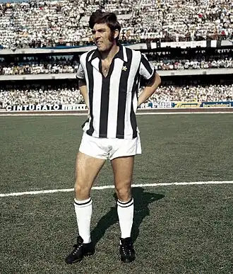 Image illustrative de l’article Roberto Vieri