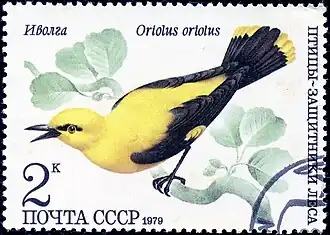Loriot d'Europe sur un timbre de 1979 de l'Union soviétique (2k).