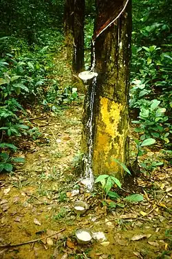 Image illustrative de l’article L'Équipée malaise