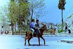 Un petit cheval portant deux jeunes hommes.