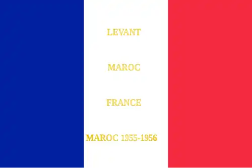 Drapeau du 19e bataillon de parachutistes algériens