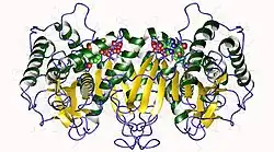 Description de cette image, également commentée ci-après