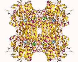 Description de cette image, également commentée ci-après