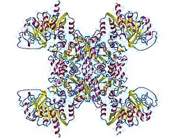 Description de cette image, également commentée ci-après
