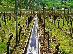 Fossé maçonné pour l'évacuation de l'eau.